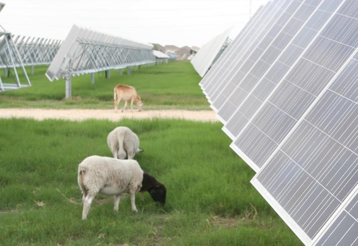 Screenshot of solar panels generating energy